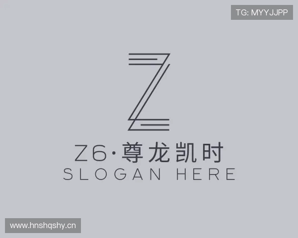 介绍Z6·尊龙凯时